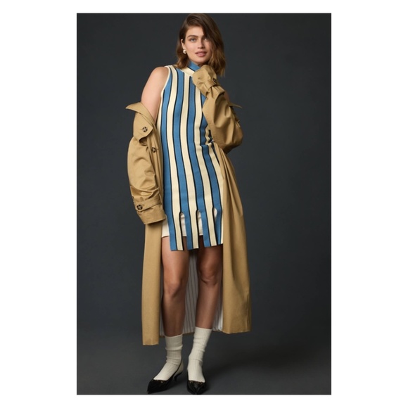 Eva Franco Dresses & Skirts - Anthropologie Eva Franco Blue Stripe Cotton Sleeveless Mock Neck Mini Dress